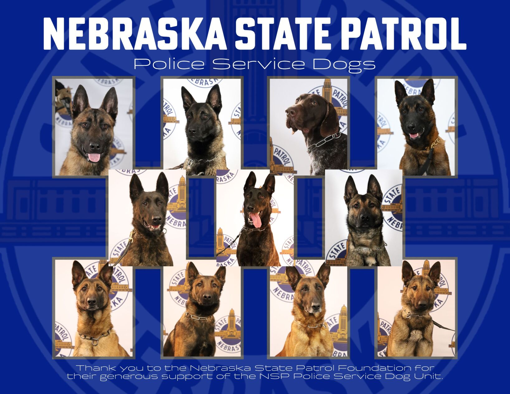 112521-owh-new-k9calendar